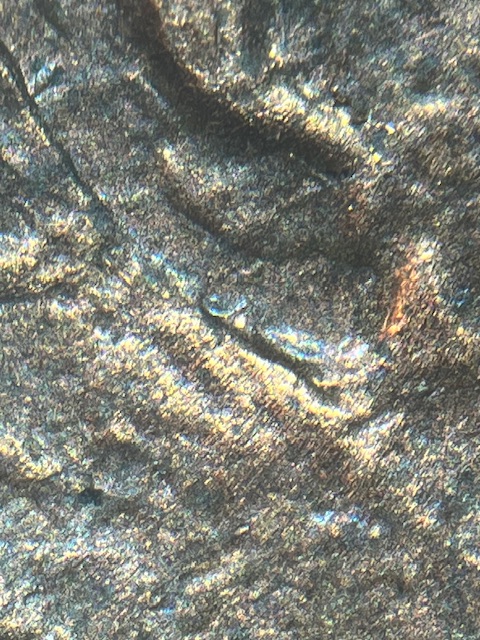 Lincoln-Memorial-Cent-1987--Die-Chip-On-9-&-Die-Crack-On-Reverse